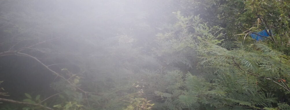 Sep 15 2025 12:00:32, #01