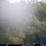 Sep 15 2025 12:00:32, #01