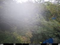 Sep 15 2025 12:00:32, #01