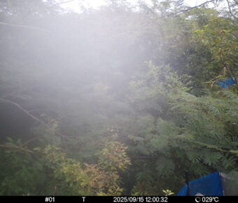Sep 15 2025 12:00:32, #01