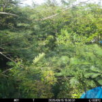 Sep 15 2025 15:00:31, #01