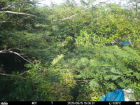 Sep 15 2025 15:00:31, #01