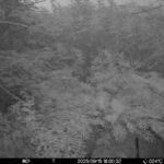 Sep 15 2025 18:00:32, #01