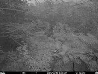 Sep 15 2025 18:00:32, #01