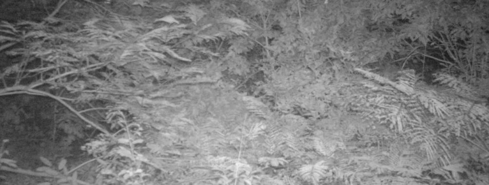 Sep 15 2025 21:00:32, #01