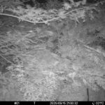 Sep 15 2025 21:00:32, #01