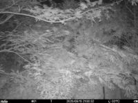 Sep 15 2025 21:00:32, #01