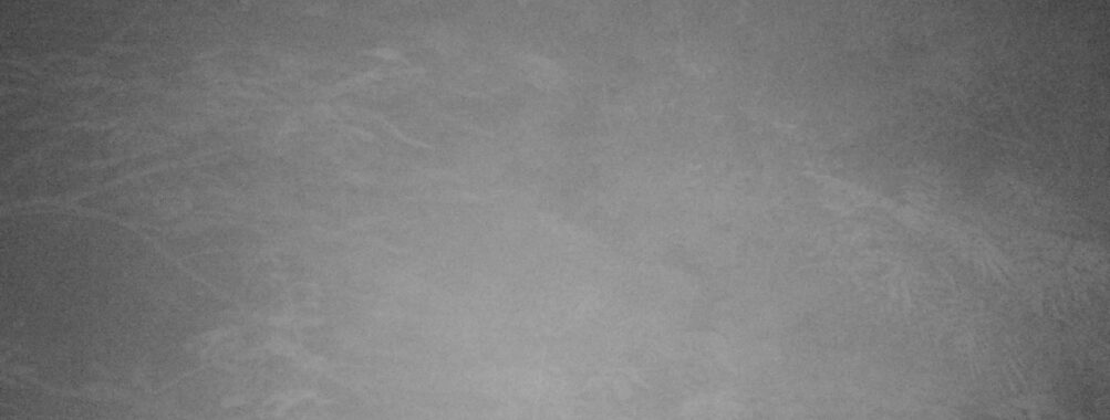 Sep 16 2025  0:00:31, #01