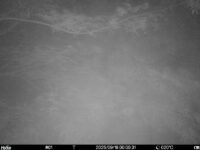 Sep 16 2025  0:00:31, #01