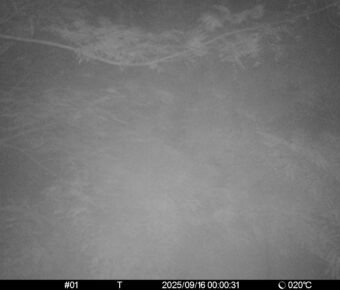 Sep 16 2025  0:00:31, #01