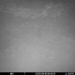 Sep 16 2025  3:00:31, #01