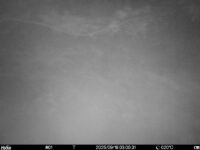 Sep 16 2025  3:00:31, #01