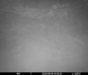 Sep 16 2025  3:00:31, #01
