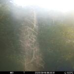 Sep 16 2025  6:00:31, #01