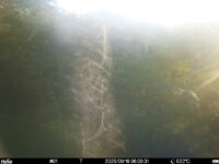 Sep 16 2025  6:00:31, #01