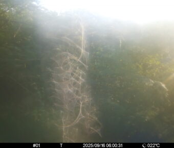 Sep 16 2025  6:00:31, #01