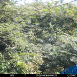Sep 16 2025  9:00:32, #01