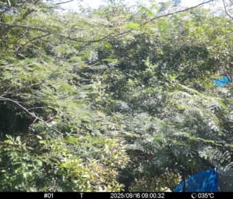 Sep 16 2025  9:00:32, #01