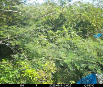 Sep 16 2025 12:00:31, #01