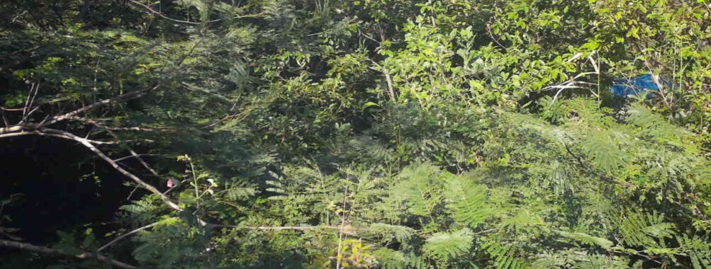 Sep 16 2025 15:00:31, #01