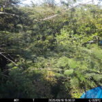 Sep 16 2025 15:00:31, #01