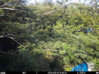 Sep 16 2025 15:00:31, #01