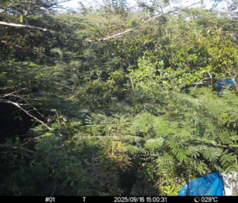 Sep 16 2025 15:00:31, #01