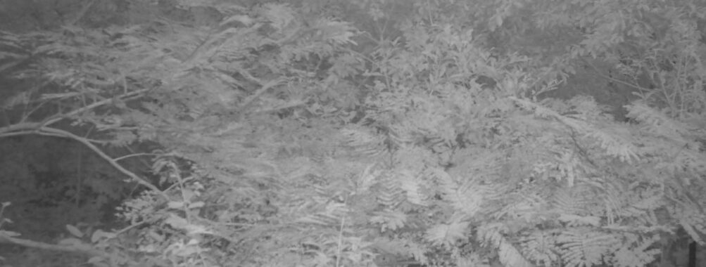 Sep 16 2025 18:00:30, #01