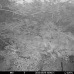 Sep 16 2025 18:00:30, #01