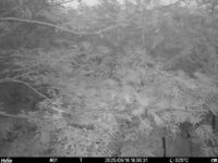 Sep 16 2025 18:00:30, #01