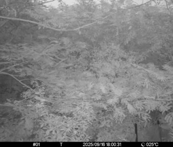 Sep 16 2025 18:00:30, #01