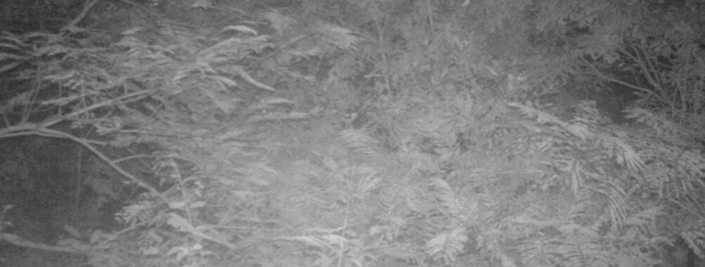 Sep 16 2025 21:00:32, #01