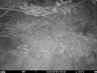 Sep 16 2025 21:00:32, #01