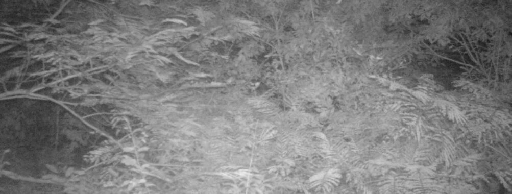 Sep 17 2025  0:00:30, #01