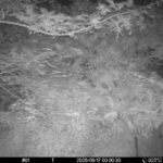Sep 17 2025  0:00:30, #01