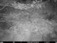 Sep 17 2025  0:00:30, #01