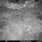 Sep 17 2025  3:00:31, #01