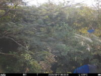 Sep 17 2025  6:00:31, #01