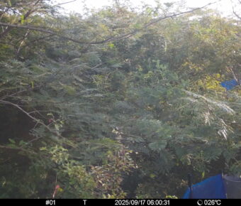 Sep 17 2025  6:00:31, #01