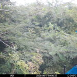 Sep 17 2025  9:00:31, #01