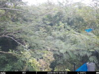 Sep 17 2025  9:00:31, #01