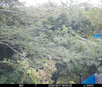 Sep 17 2025  9:00:31, #01
