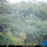 Sep 17 2025 12:00:31, #01