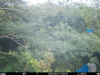 Sep 17 2025 12:00:31, #01