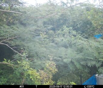 Sep 17 2025 12:00:31, #01