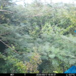 Sep 17 2025 15:00:31, #01