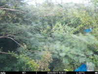 Sep 17 2025 15:00:31, #01