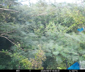 Sep 17 2025 15:00:31, #01