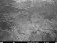 Sep 17 2025 18:00:31, #01