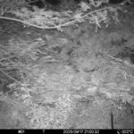 Sep 17 2025 21:00:32, #01